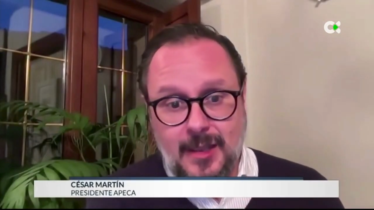 Presidente de Apeca y los «rent a car», en Televisión Canaria